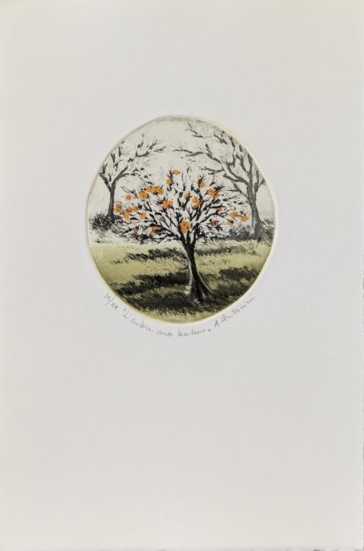 The persimmon tree (Etching and aquatint) - Annapia ANTONINI