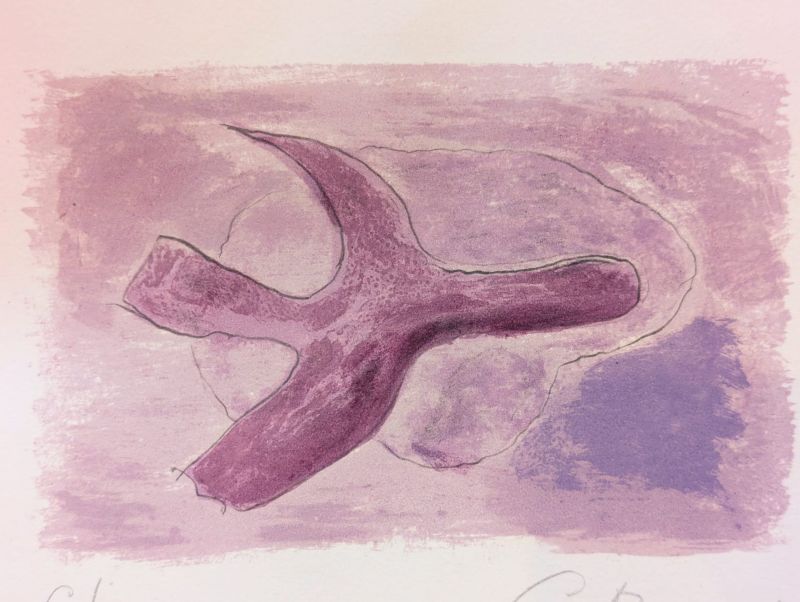 L'oiseau mauve (Lithographie) - Georges BRAQUE